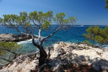 PARK ŠUMA ZLATNI RT