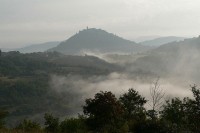 MOTOVUNSKA ŠUMA