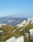 PLOMINSKA GORA