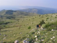 PLOMINSKA GORA