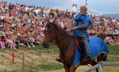 VITEŠKI TURNIR U GORNJOJ STUBICI, 10.06.2017.