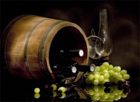 DAN VINA - WINE DAY, 28.05.2017.