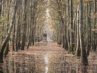 PARK ŠUMA BORIK