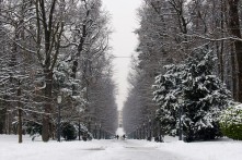 PARK MAKSIMIR
