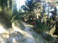 PJEŠAČENJE I PLANINARENJE PELJEŠCEM