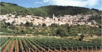 PINĆALUŠA I VINOGRADI POŠIPA, SMOKVICA, OTOK KORČULA