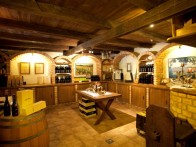 HOTEL ZDJELAREVIĆ***, BRODSKI STUPNIK