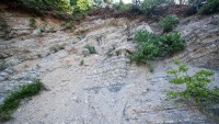 STARA STRAŽA – GEOLOŠKI SPOMENIK PRIRODE 