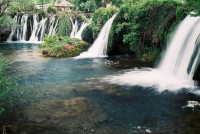 RASTOKE
