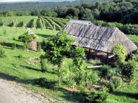 VINSKO-TURISTIČKE CESTE ĐAKOVAČKOG VINOGORJA