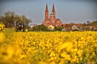 ĐAKOVO, SRCE SLAVONIJE!