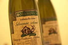FESTIVAL ZELENOG SILVANCA U ORAHOVICI, KOLOVOZ 2017.