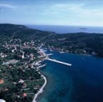 ZLARIN