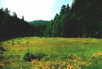 NACIONALNI PARK RISNJAK