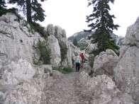 PREMUŽIĆEVA STAZA  