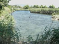 MLINICA PANTAN, TROGIR
